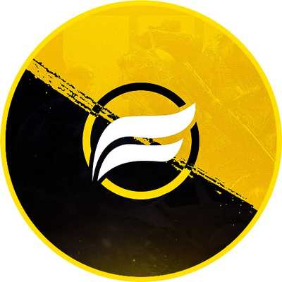 team logo
