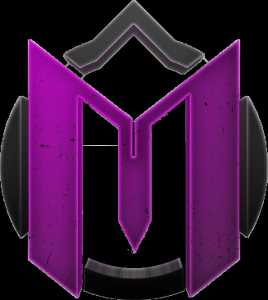 team logo