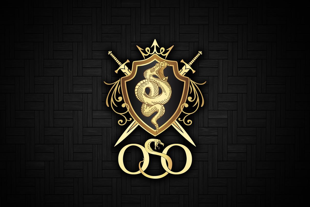 team logo