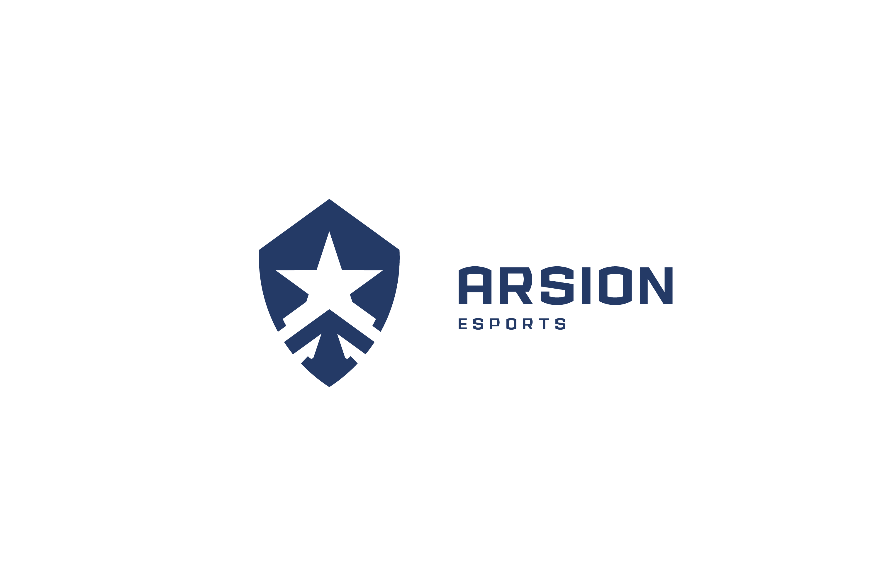 team logo