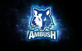 team logo