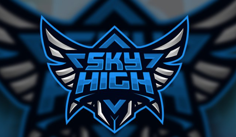 team logo