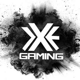 team logo