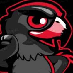 team logo