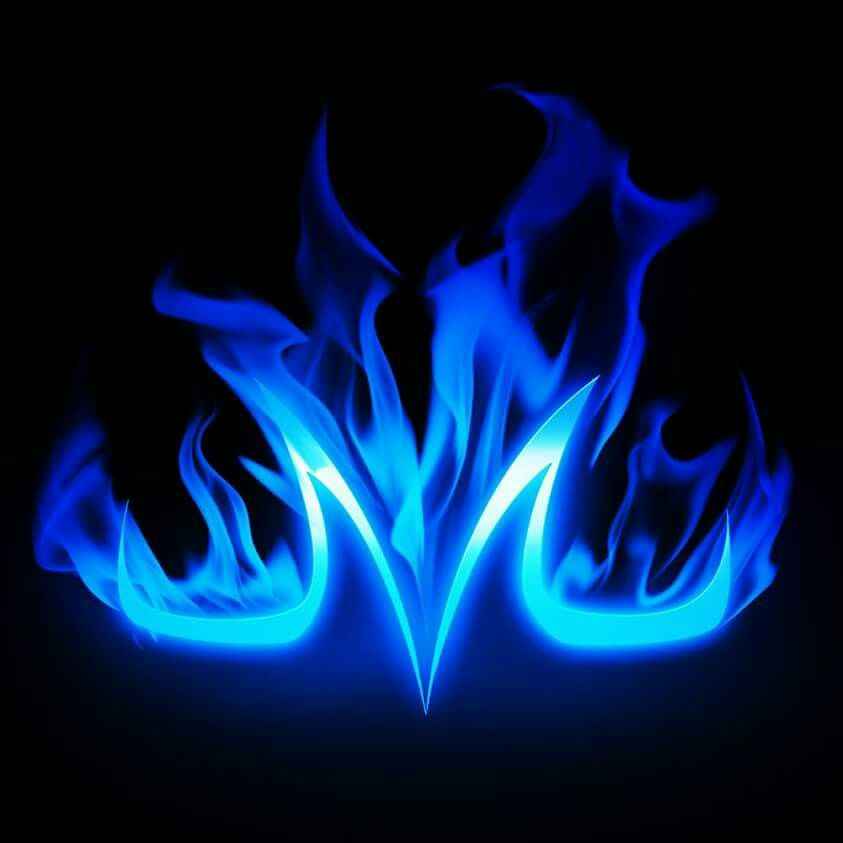 team logo