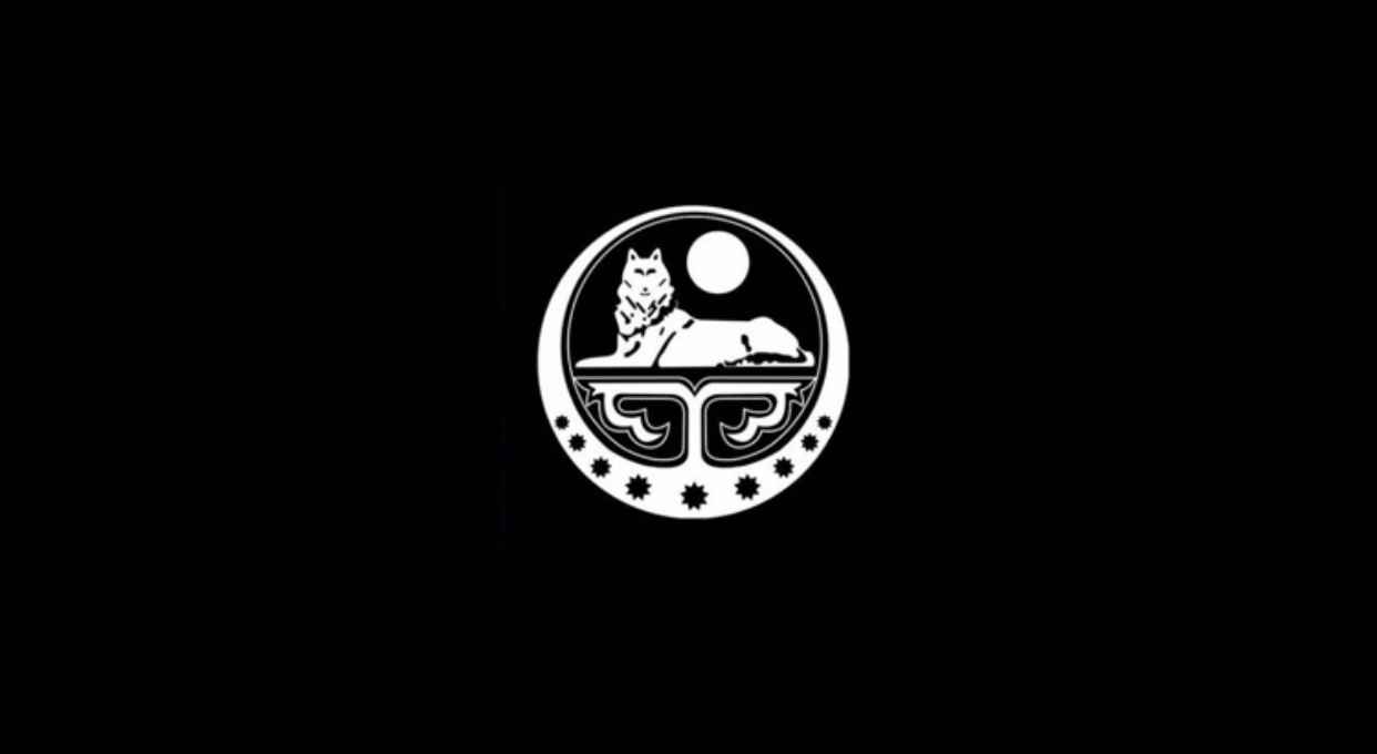 team logo