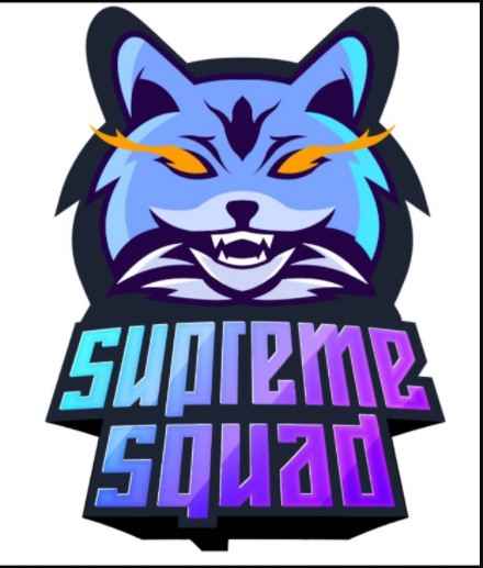 team logo