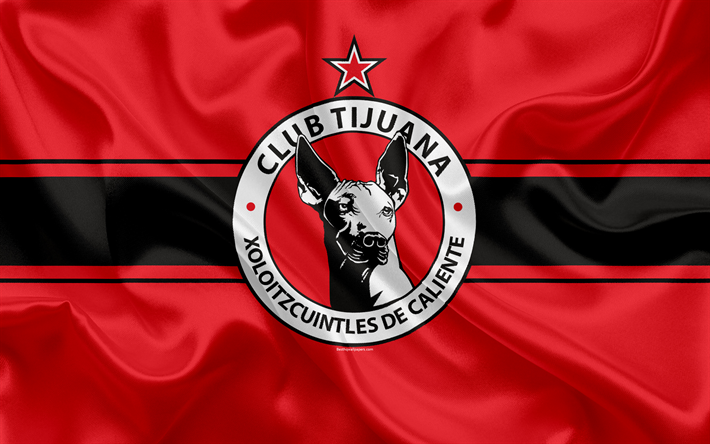 team logo